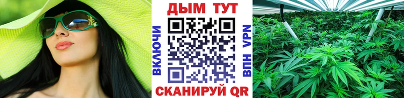 Каннабис Amnesia  Арзамас 